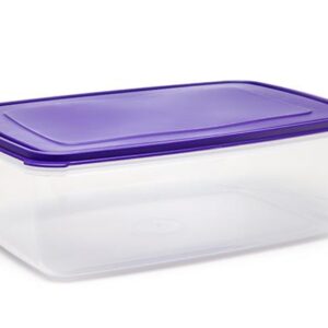 Tupper Rectanguar 9lts